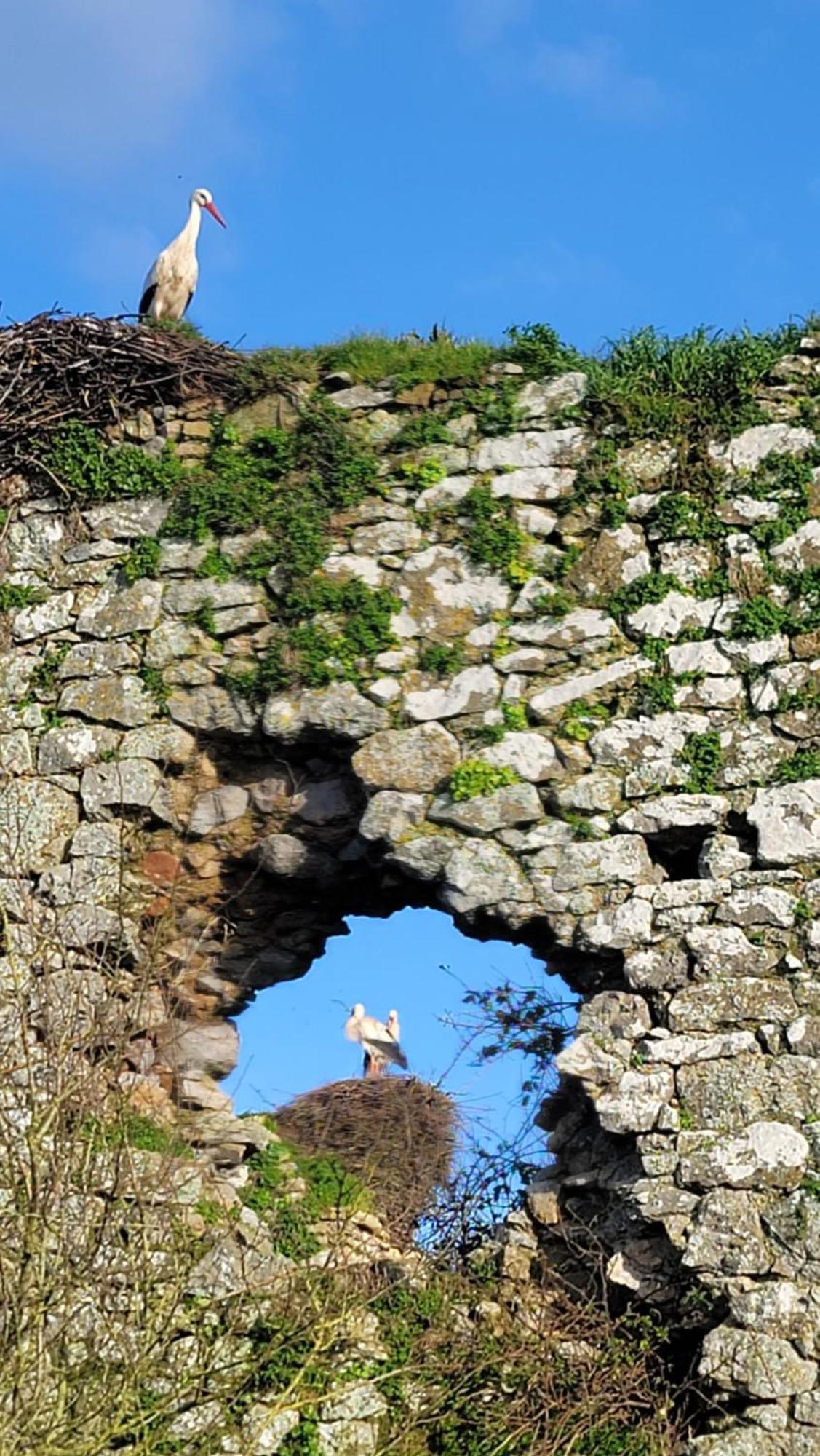 Gite Au Coeur Du Dday Brevands Екстер'єр фото